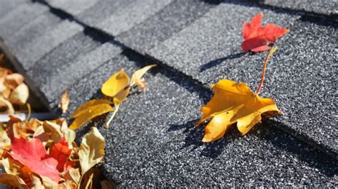 Colorado Fall Roofing Maintenance For A Cozy Winter Essential Tips