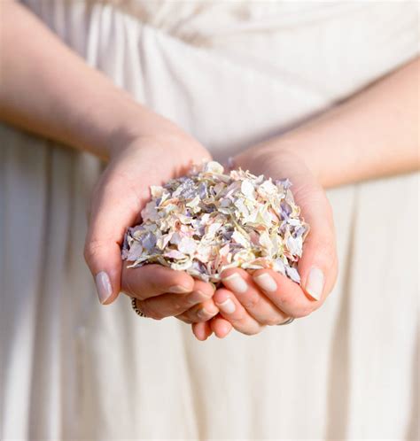 10 Handfuls Of Biodegradable Petal Wedding Confetti By Shropshire