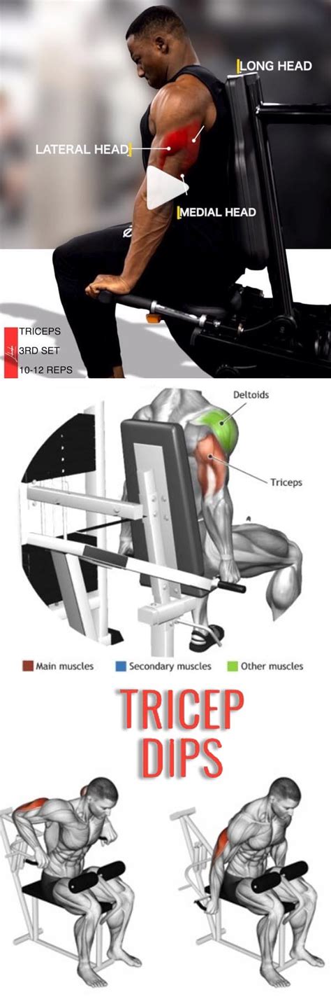 Chest Dips Vs Tricep Dips Guide And Video