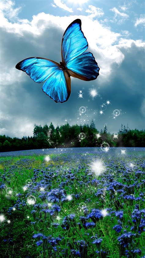 Iphone Blue Butterfly Wallpaper Hd
