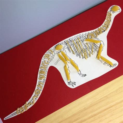 Dinosaur Skeletons Made With Pasta Dinosaur Skeleton Dinosaur