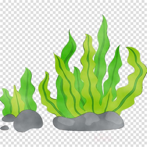 Green Grass Background Clipart Seaweed Green Plant