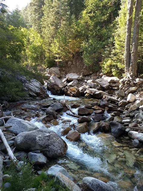 Stunning Creek Old Plant Trail Little Cottonwood Canyon Road