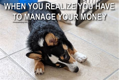 See more ideas about finance, memes, instagram. Personal Finance 101: Money Lessons From Memes | The ...