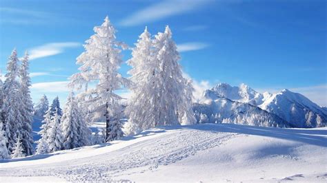 Winter Snow Landscape Wallpapers Top Free Winter Snow Landscape