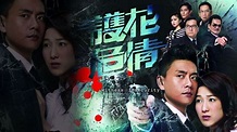 護花危情 - 免費觀看TVB劇集 - TVBAnywhere 北美官方網站
