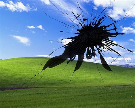 Funny Windows Xp Wallpapers