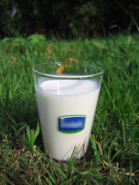 Blog - A Campaign for Real MilkA Campaign for Real Milk | A Project of