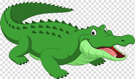 Cartoon Alligator Pics Crocodile Alligator Reptile Aligator Jacaré