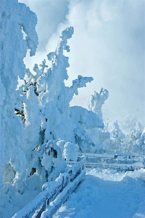 Yellowstone Winter Landscape 25 Photograph By Hugh Hargrave Fine Art America