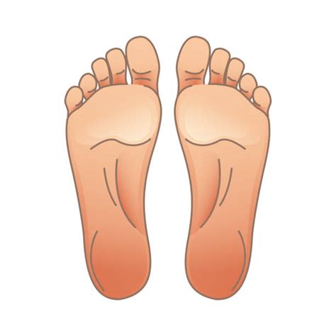 Cartoon Of Bare Feet Illustrations Royalty Free Vector Graphics And Clip
