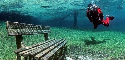 Lago Verde Un Parque Sumergido Bajo Las Aguas