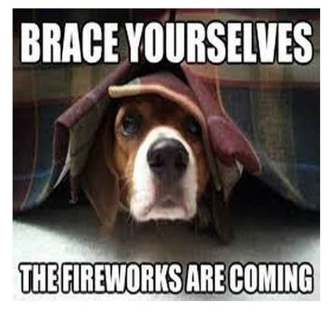 Happy And Funny 4th Of July Memes That Every American Can Laugh