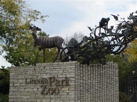 Lincoln Park Zoo Picture Of Lincoln Park Zoo Chicago Tripadvisor