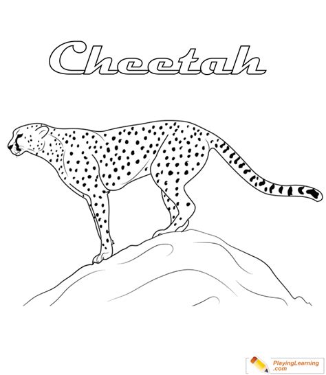 Cheetah Coloring Page 08 Free Cheetah Coloring Page