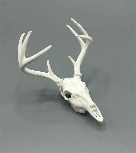 3d Printed Mini Deer Skull Etsy