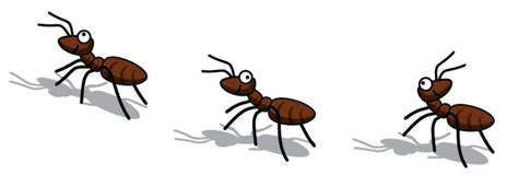 Free Ant Border Cliparts Download Free Ant Border Cliparts Png Images
