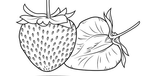 Dan inilah gambarnya untuk mewarnai gambar buah strawberry. Gambar Mewarnai Buah Strawberry Untuk Anak PAUD dan TK
