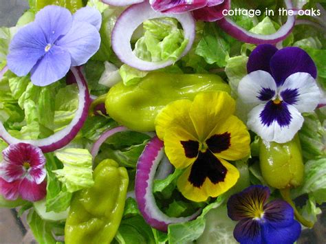 Edible Flowers Pansies In Our Salad Cottage In The Oaks