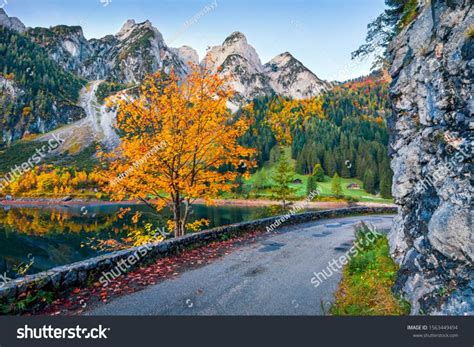 Colorful Autumn View Of Gosausee Vorderer Lake With Asphalt Walkway
