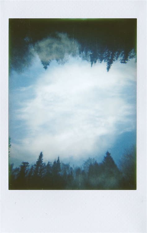 Green Trees Under White Clouds · Free Stock Photo