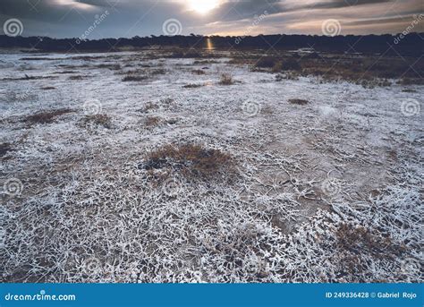 Saltpeter On The Floor Of A Lagoon In A Semi Desert Environment La