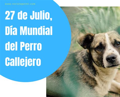 El 12 de junio de 1995, la federación cinológica internacional (fci), con sede en thuin (), reconoció y registró al perro sin pelo del perú en su nomenclatura de razas con el número 310, 3 4 clasificándolo en el grupo v, tipo spitz, que es para aquellos perros atléticos y ágiles ideales para carreras y en la sección 6 en la que se ubican los perros tipo primitivos. Cada 27 de julio se conmemora el Día Internacional del Perro Callejero. | Radio FM Tradición ...