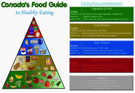 We did not find results for: Canada's Food Guide by AleriaCarventus on DeviantArt