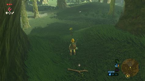 Forest Of Spirits Zeldapedia Fandom