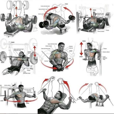 Chest Training Plan For Everyone Yeah We Train Gym Workouts