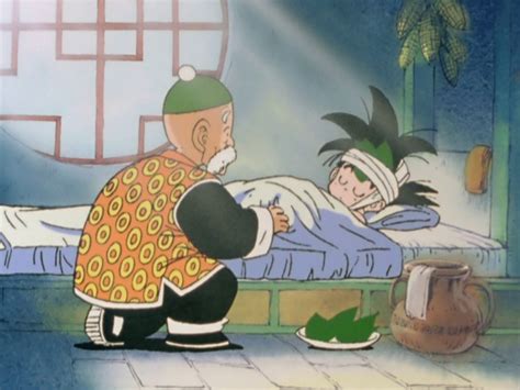 Goku And Grandpa Gohan Anime Foto 36428486 Fanpop