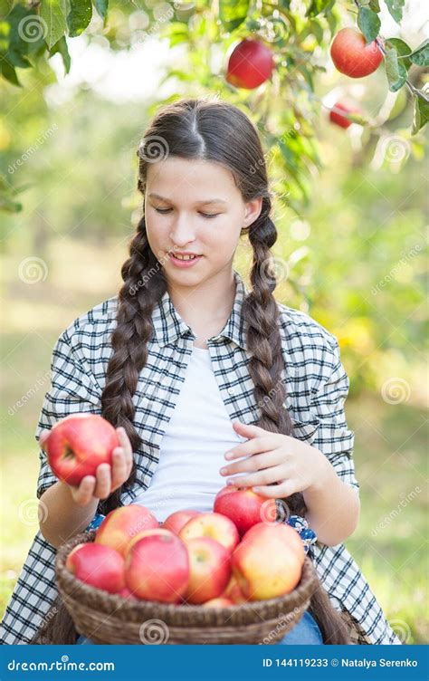 Girl With Apple In The Apple Orchard Stock Image Image Of Healthcare