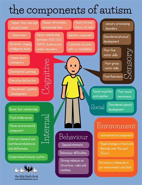 The Components Of Autism Infograph