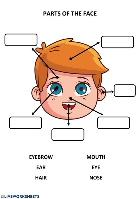 Parts Of The Face Ficha Interactiva English Activities For Kids