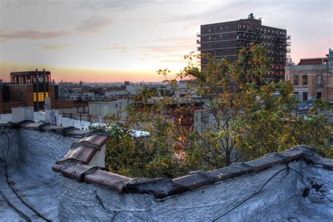 Brooklyn Roof Tops Smithsonian Photo Contest Smithsonian Magazine