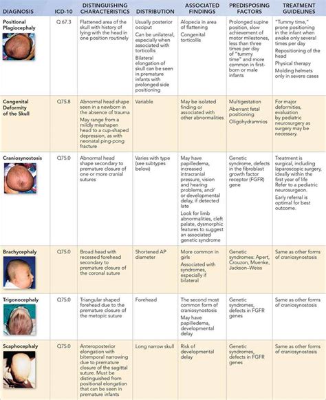 Abnormal Head Shape Visual Diagnosis And Treatment In Pediatrics 3 Ed