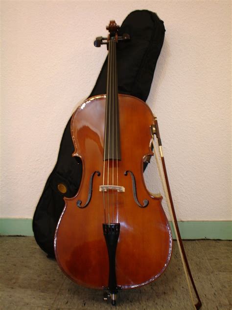 Stentorviolonchelostudenti Cello Violin Music Instruments