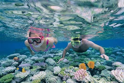 Great Barrier Reef