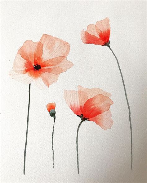 Floral Watercolor Painting Ideas For Beginners Beautiful Dawn My Xxx