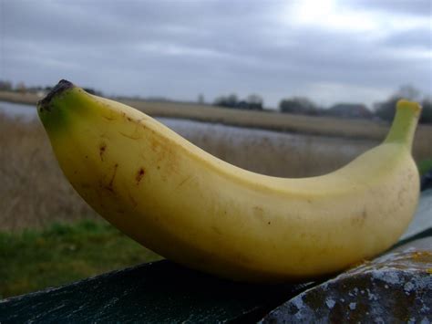 Extra Large Banana