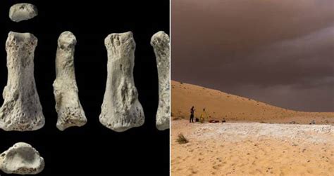A Finger Bone Is The Earliest Evidence Of Humans Outside Africa