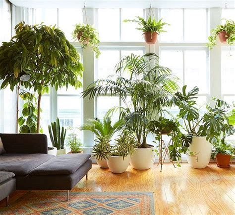 Awesome 63 Easy House Plants Indoor Decor Ideas