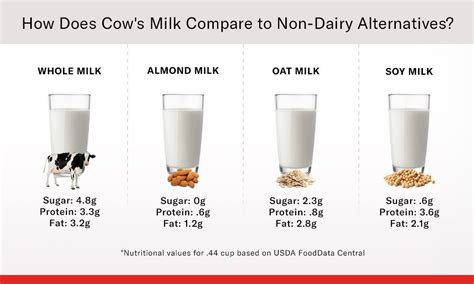 What To Know About Non Dairy Milks