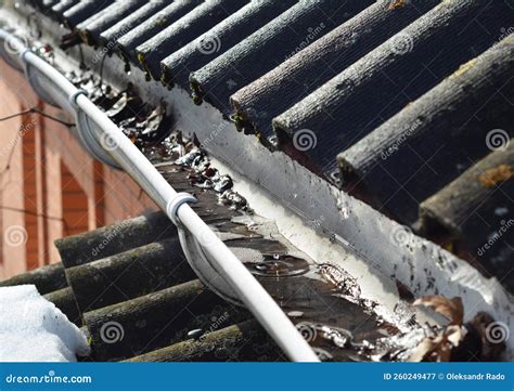 Roof Gutter Cleaning. a Clogged Rain Gutter of an Asbestos Roof with
