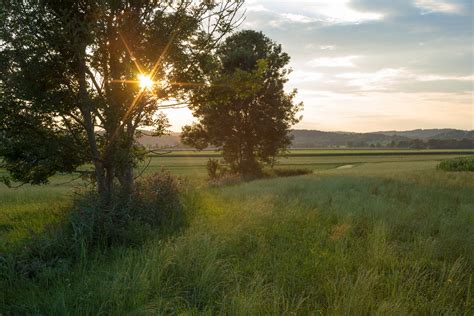 Sunset In Green Field Landscape Free Photo Download Freeimages