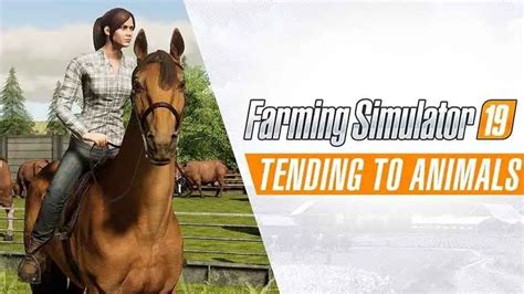 Farming Simulator 19 Animal Gameplay
