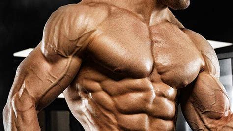 Winstrol Stanozolol The Ultimate Guide Steroid Cycles