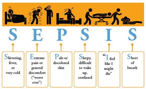 Septicemia is defined as having bacteria in the bloodstream that cause sepsis. Bacteremia and Septicemia, What are the Differences