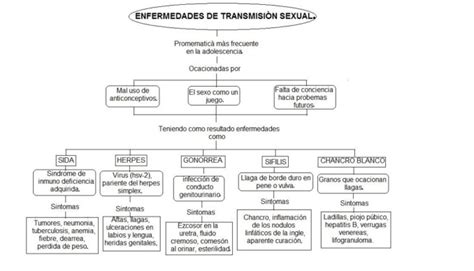 Cuadros sinópticos sobre las enfermedades de transmisión sexual
