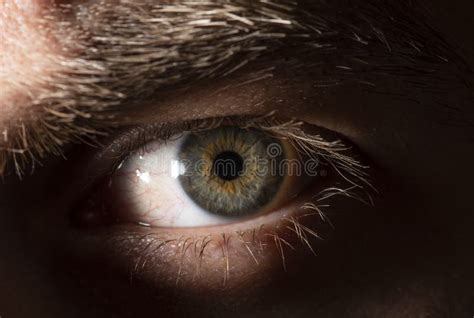 Beautiful Close Up Human Eye Macro Photography Stock Photo Image Of